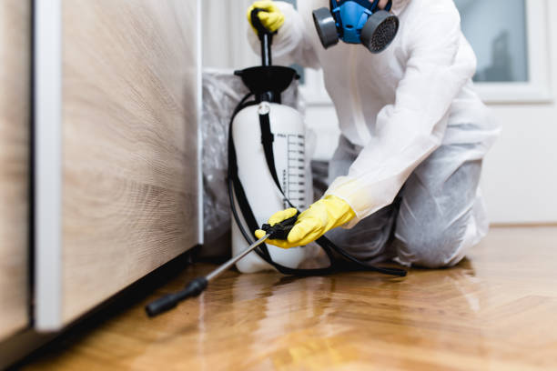 Best Pest Control Treatment  in Fountain Green, UT