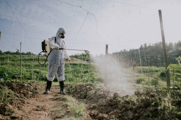 Best Best Pest Control Companies  in Fountain Green, UT