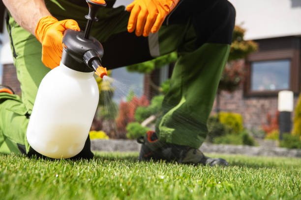 Best Residential Pest Control  in Fountain Green, UT