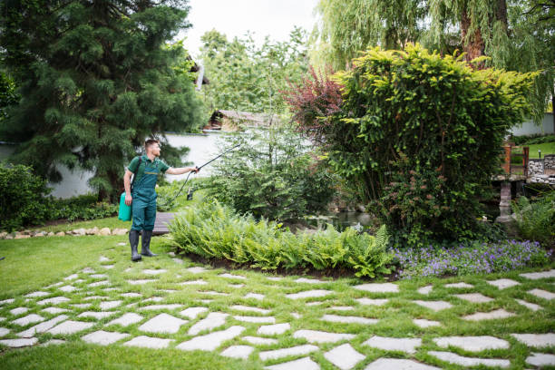 Best Exterminator Services  in Fountain Green, UT