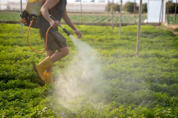 Best Wildlife Control Services  in Fountain Green, UT