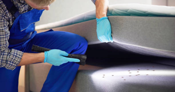 Best Pest Inspection Near Me  in Fountain Green, UT