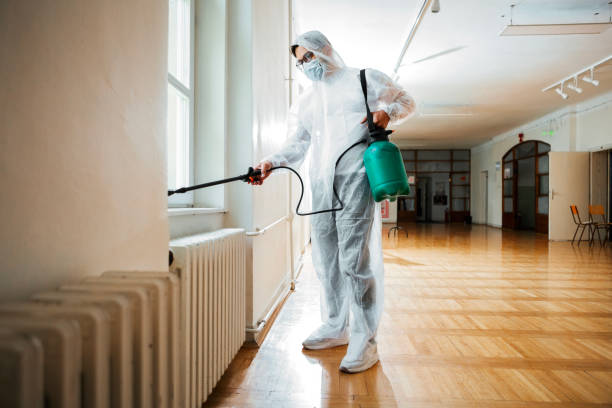 Best Termite Control Services  in Fountain Green, UT