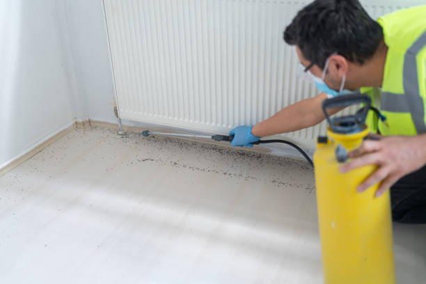 Best Local Pest Control Services  in Fountain Green, UT