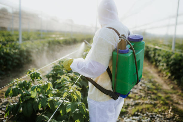Best Flea Control Services  in Fountain Green, UT